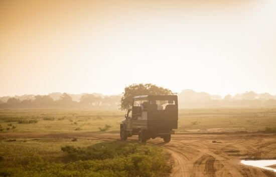 image of a jeep on safari in Yala 