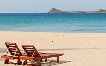 The Coral Gardens of Pigeon Island