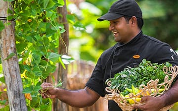 A Sustainable Kitchen Garden at Passekudah