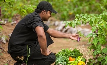 Check in: the five star Sri-Lankan organic estate – Pebble Mag