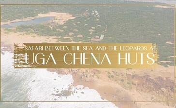 A Safari Between The Sea And The Leopards At uga Chena Huts