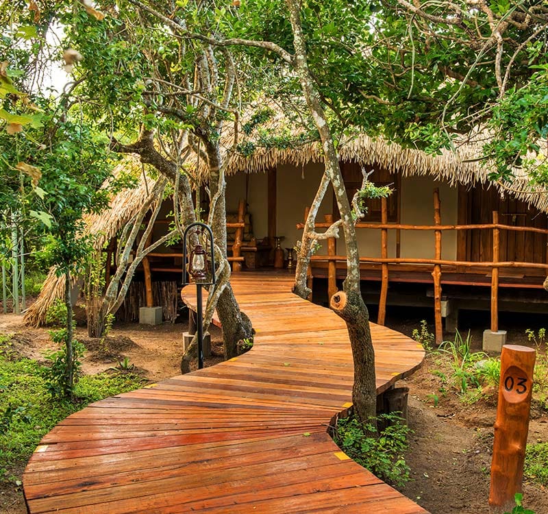 5 Star Hotels In Sri Lanka L Luxury Cabins L Chena Huts By Uga Escapes
